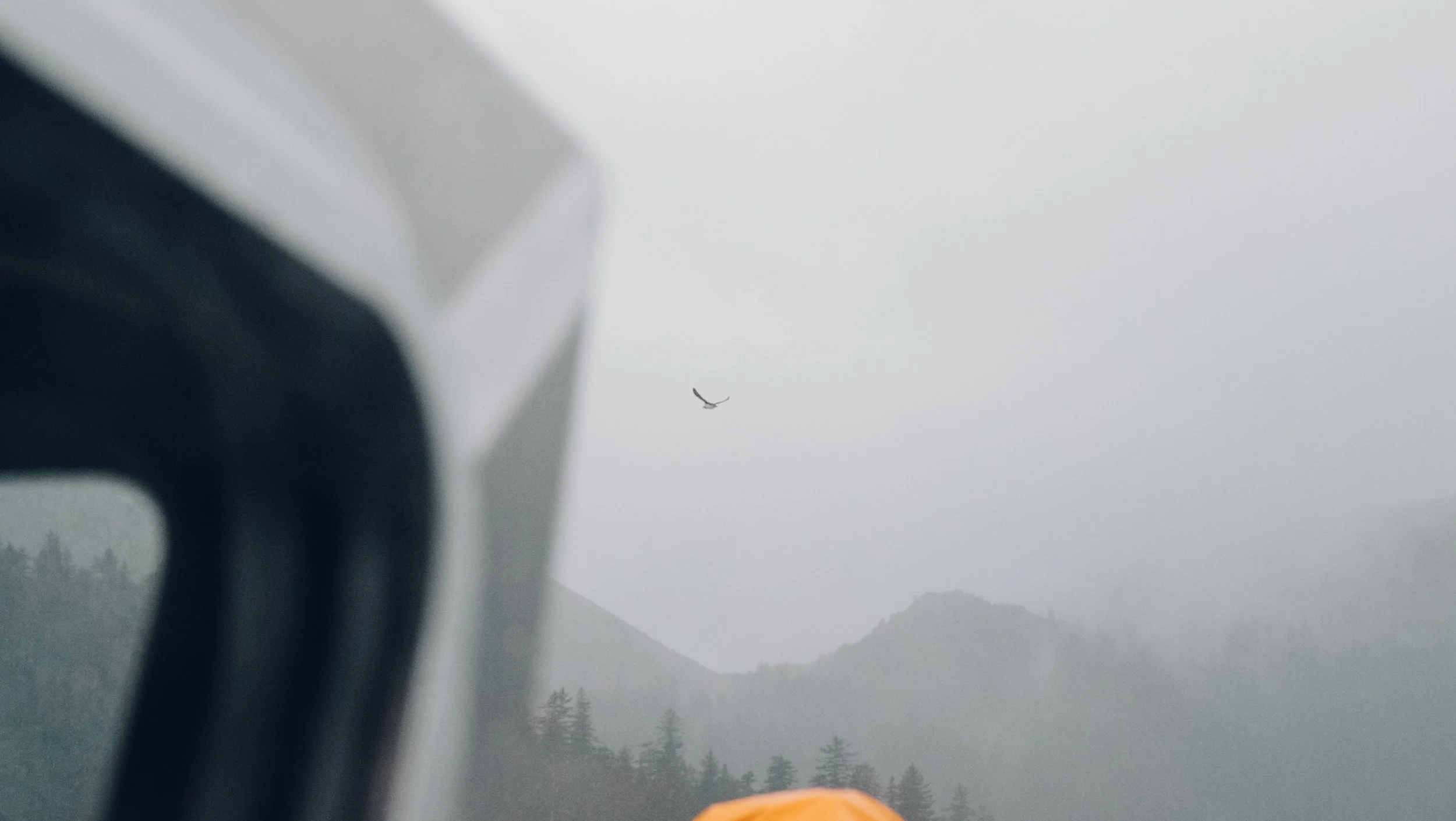 DSCF8858.jpg