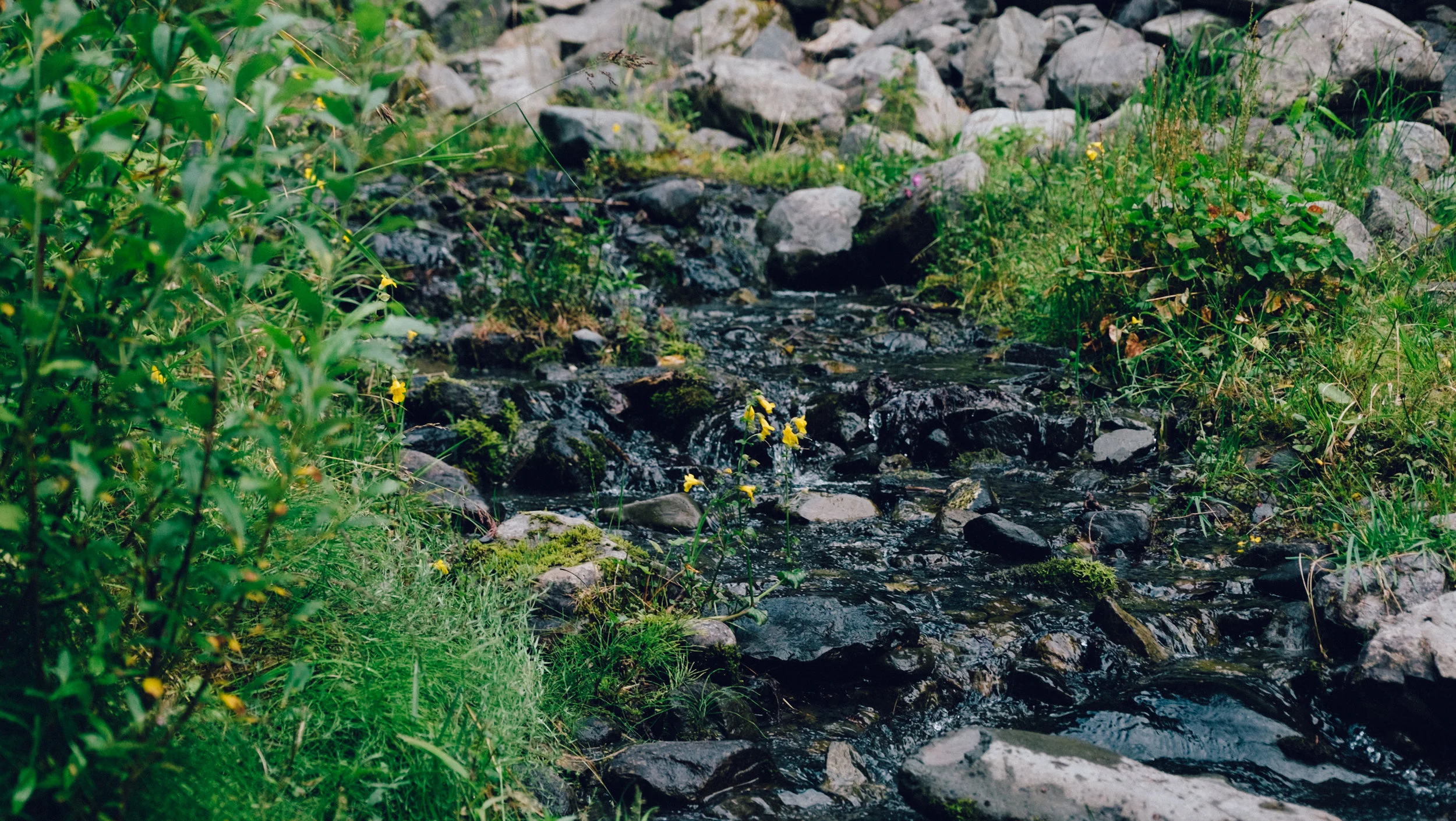 DSCF8306.jpg