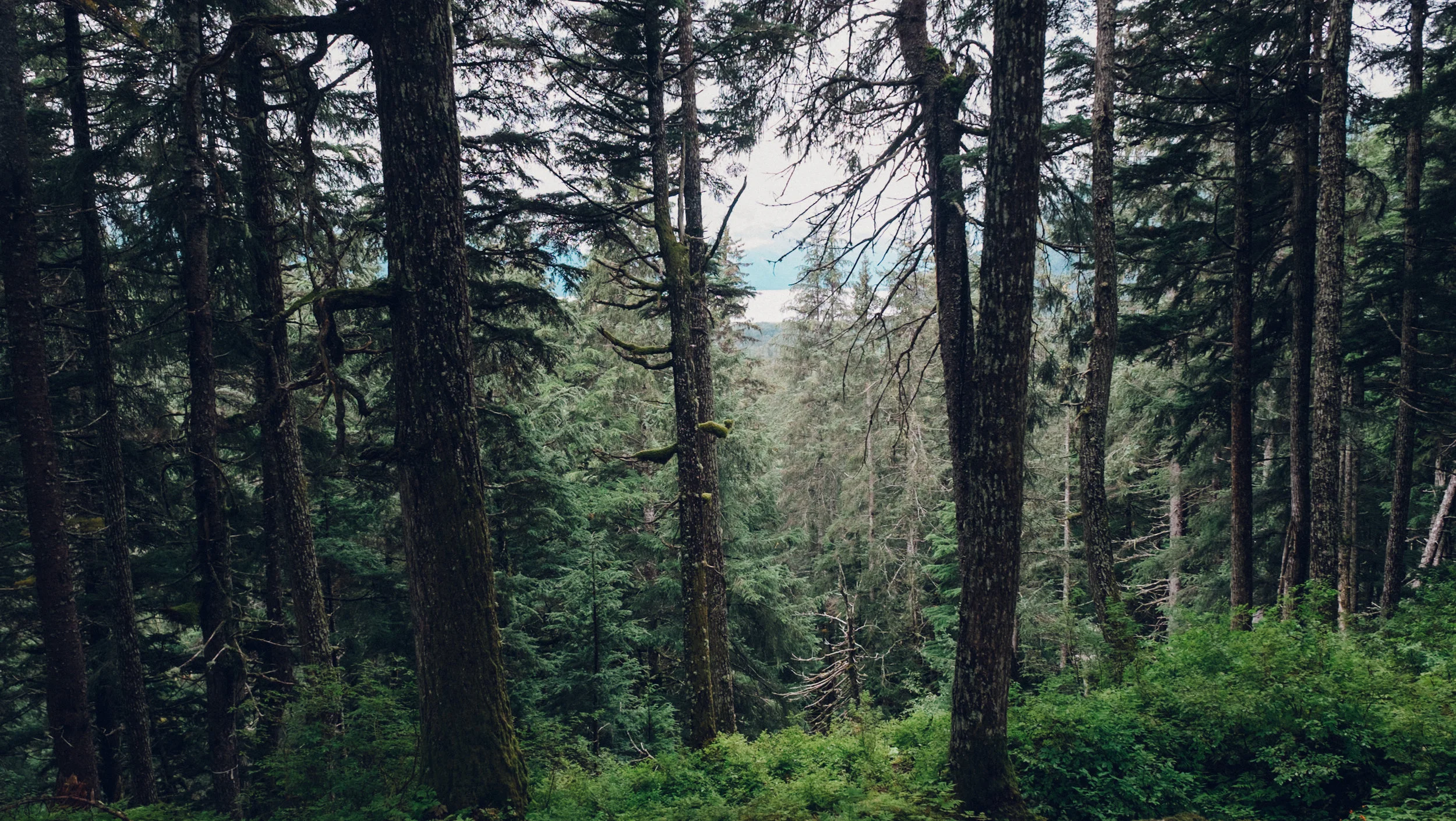 DSCF6916.jpg