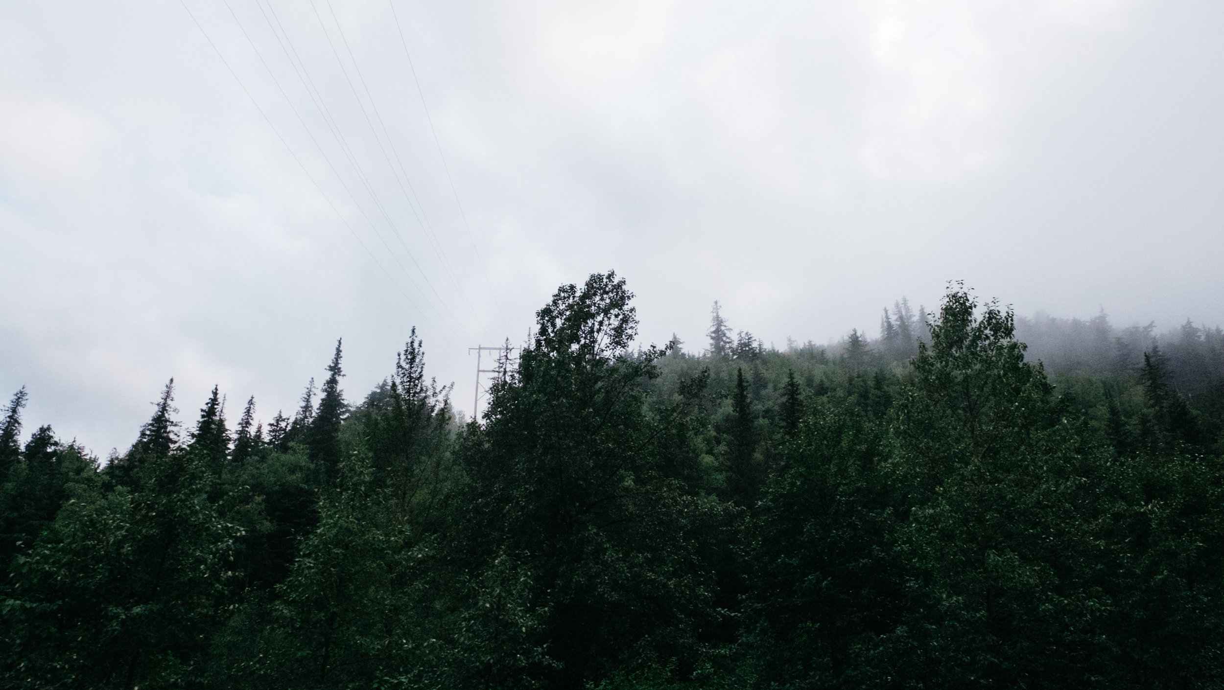 DSCF6516.jpg