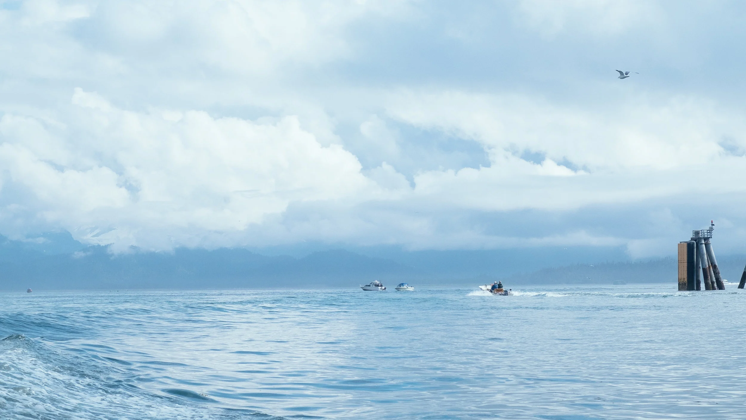 DSCF5879.jpg