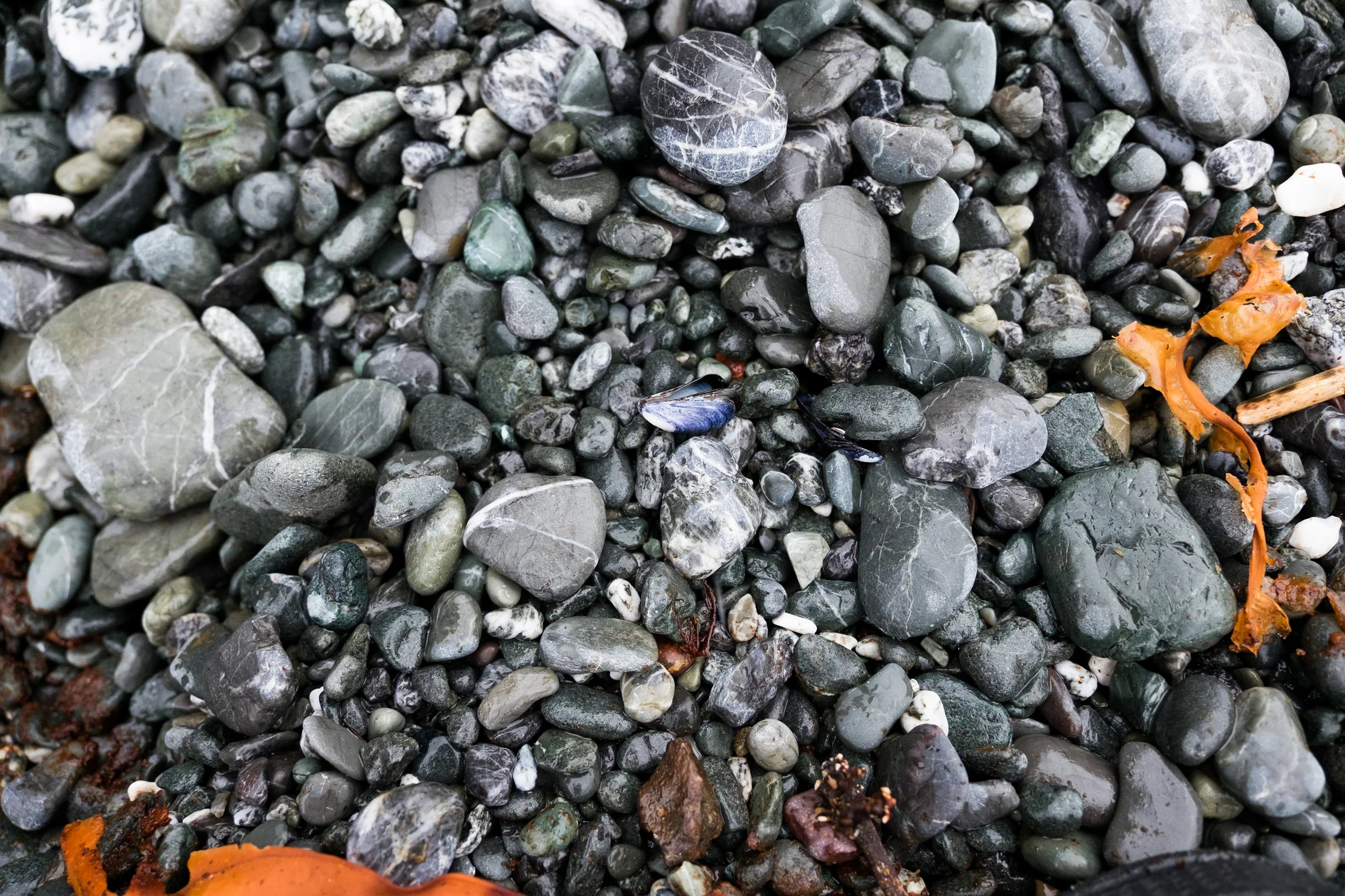 DSCF5606.jpg