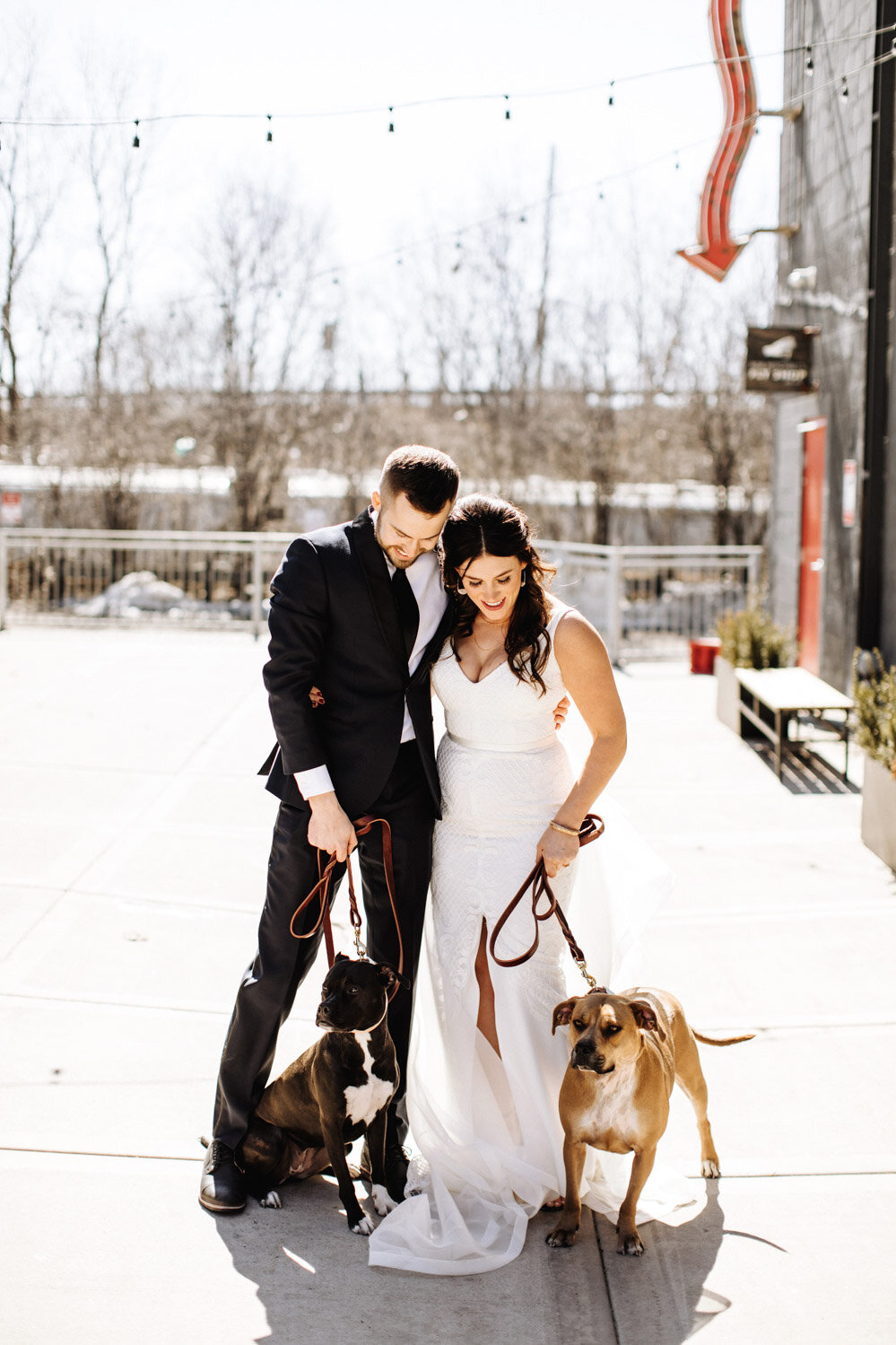 6 Wedding Day Dogs Pets Dog Bride Groom Outdoor.jpg