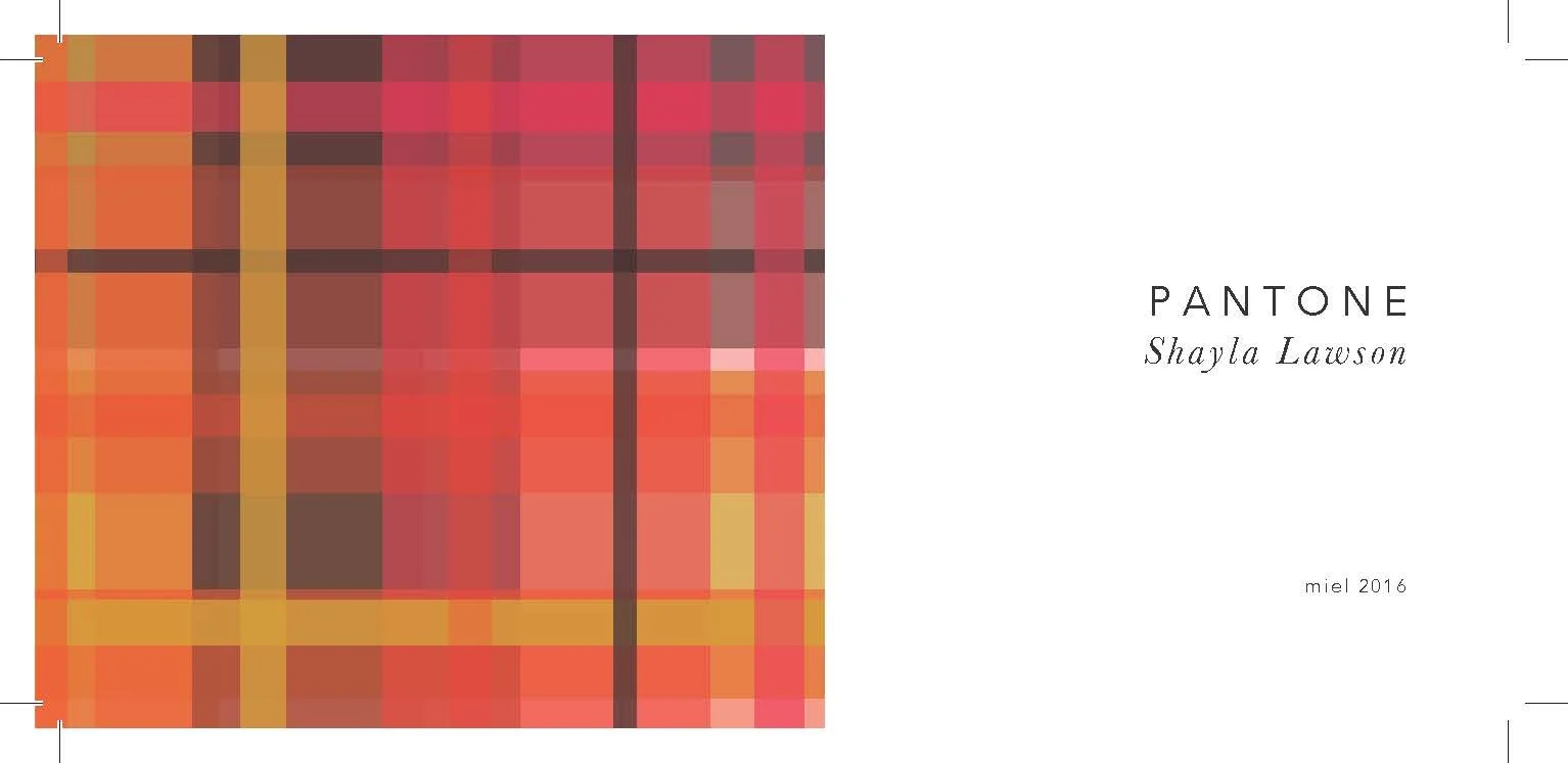 Pantone by Shayla Lawson book cover with a bright-colored gingham pattern.