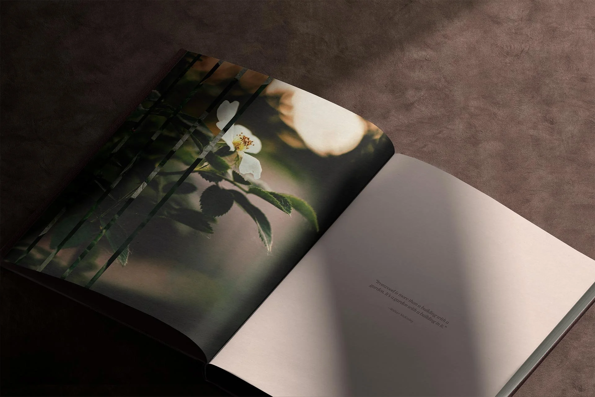  Role: Associate Creative Director &amp; Designer Agency: Full Punch  Web designer: Murray Falconer Motion graphics: Chad Jones  Client: Qualex Landmark 