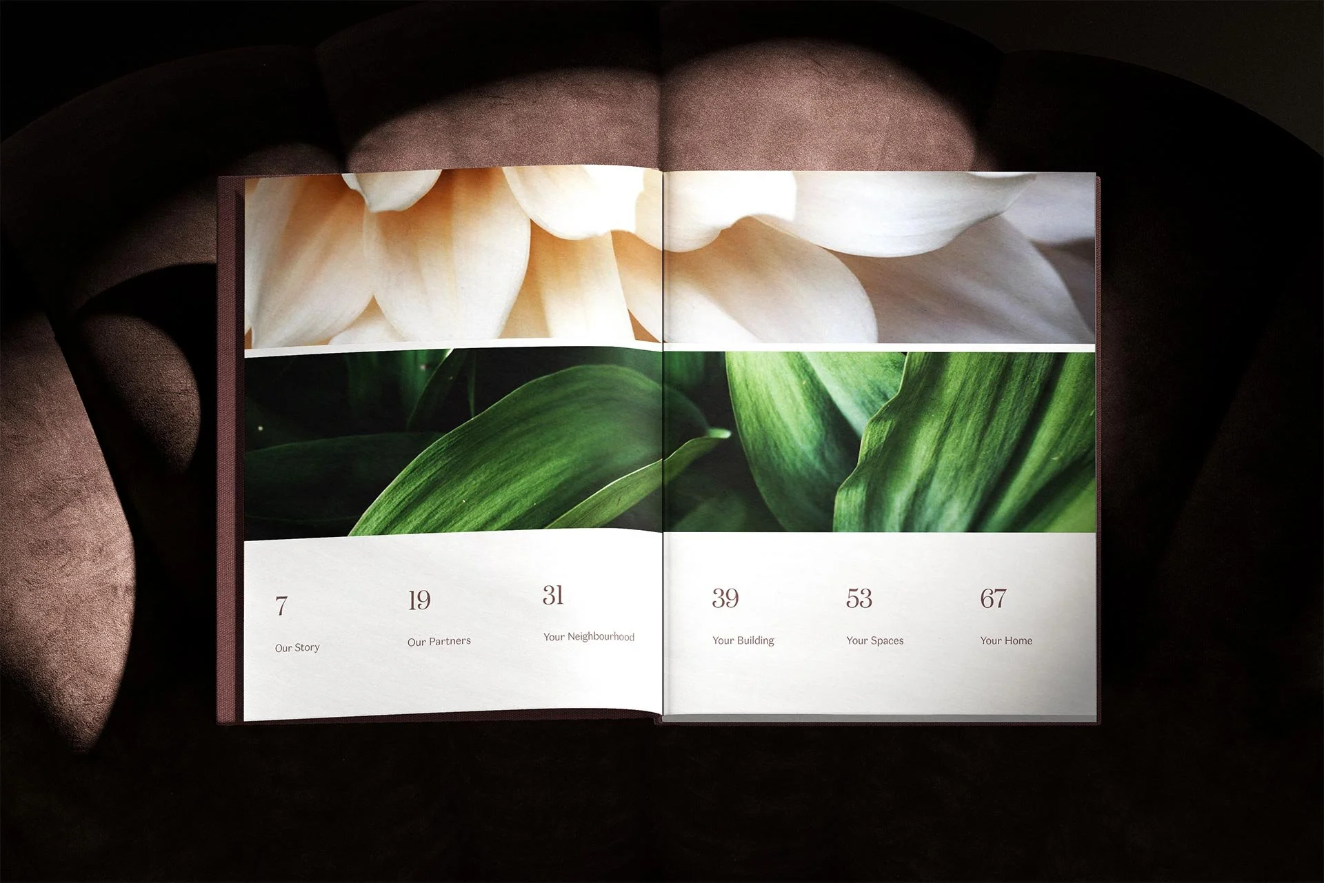 Ironwood-Open-Book-Mockup-3.jpg