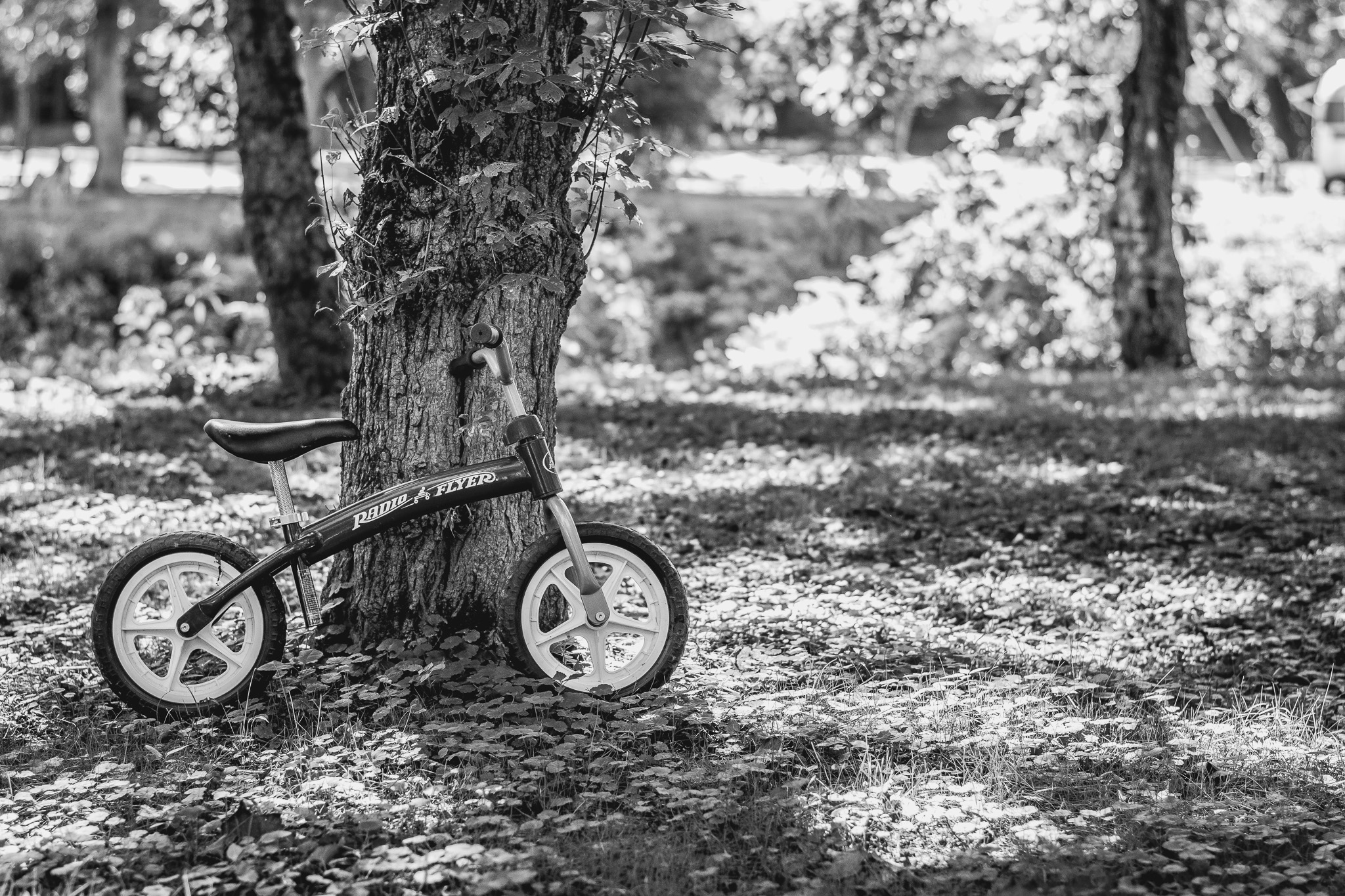 DSC_0216-2.jpg