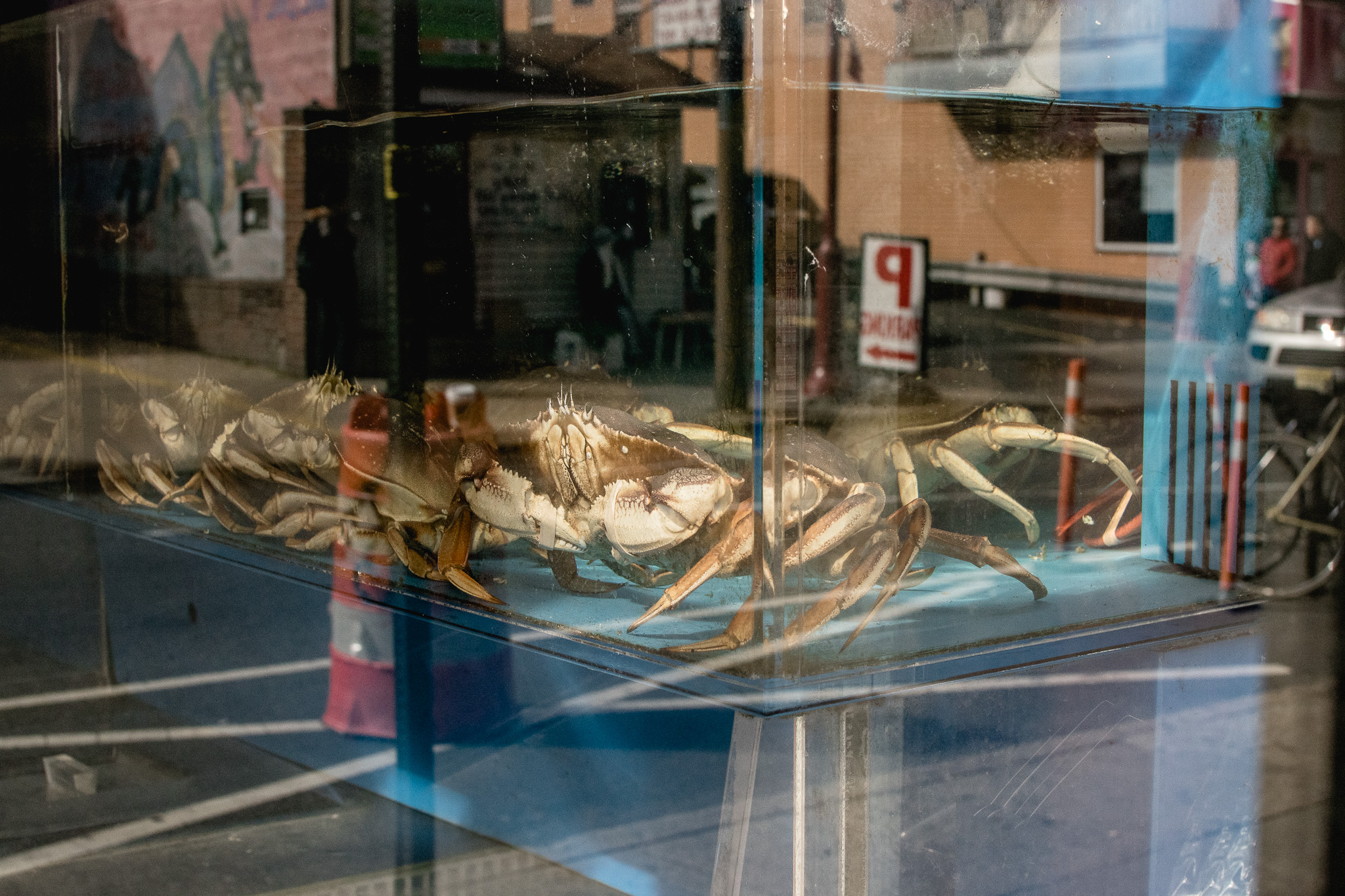 DSC_0365.jpg