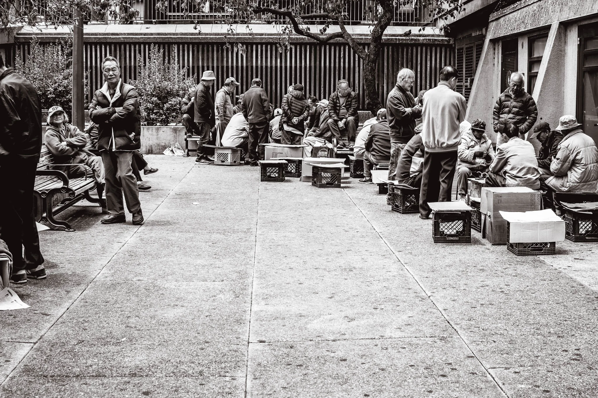 Chinese men playing cards in the park.