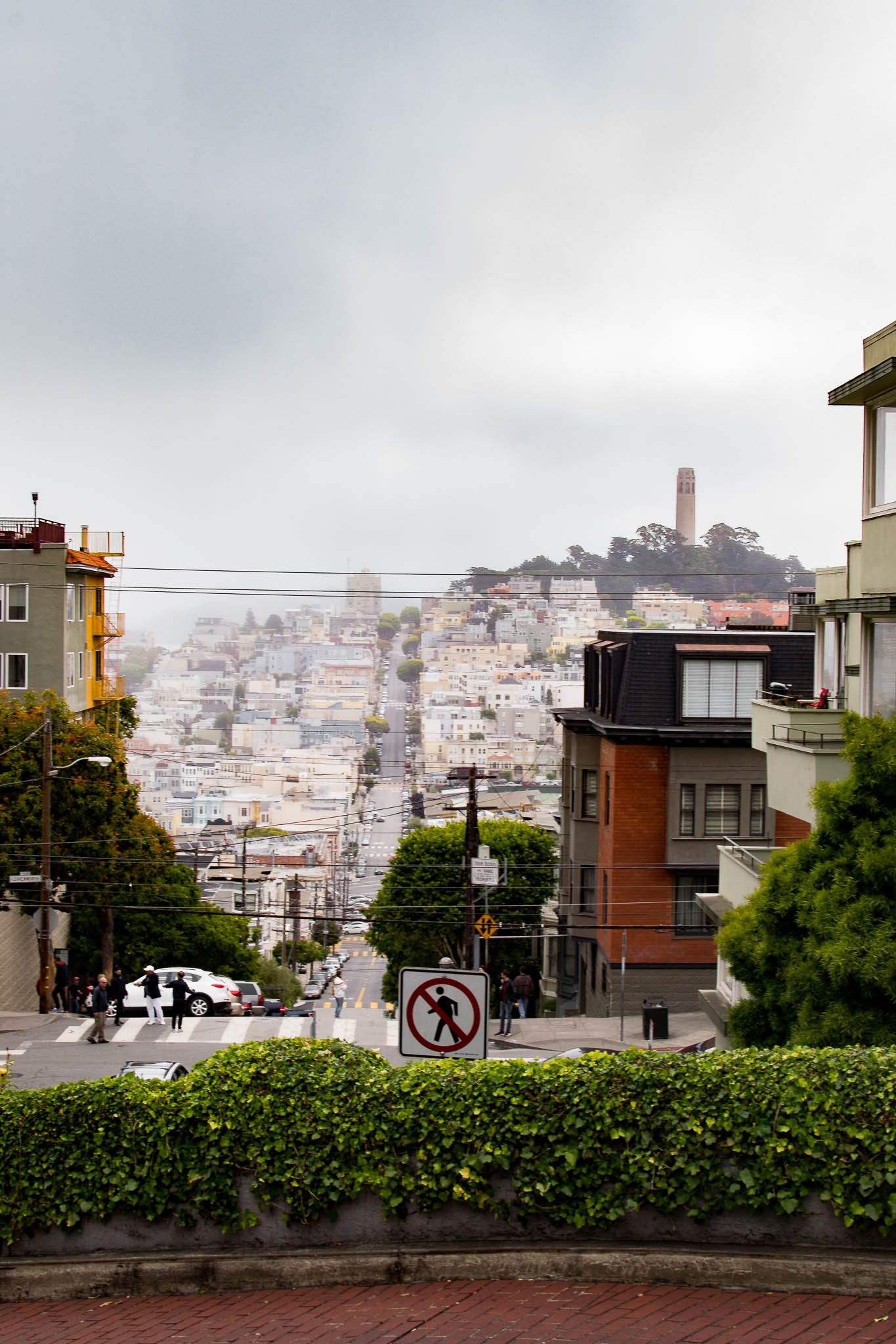 Taken from the curvy part of Lombard St, you can see Coyt Tower (our first stop after leaving the hotel.)