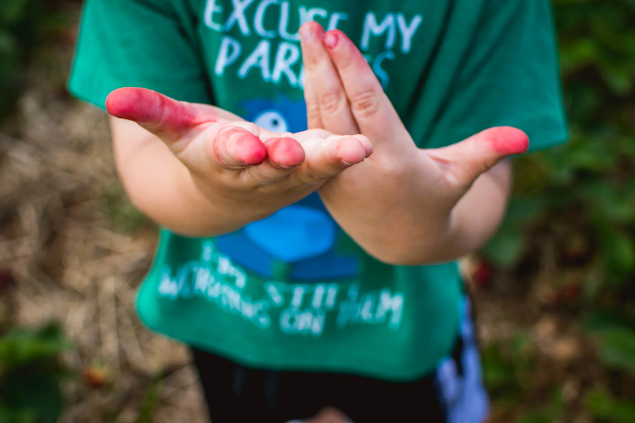 The way picking strawberries turned his fingers red.