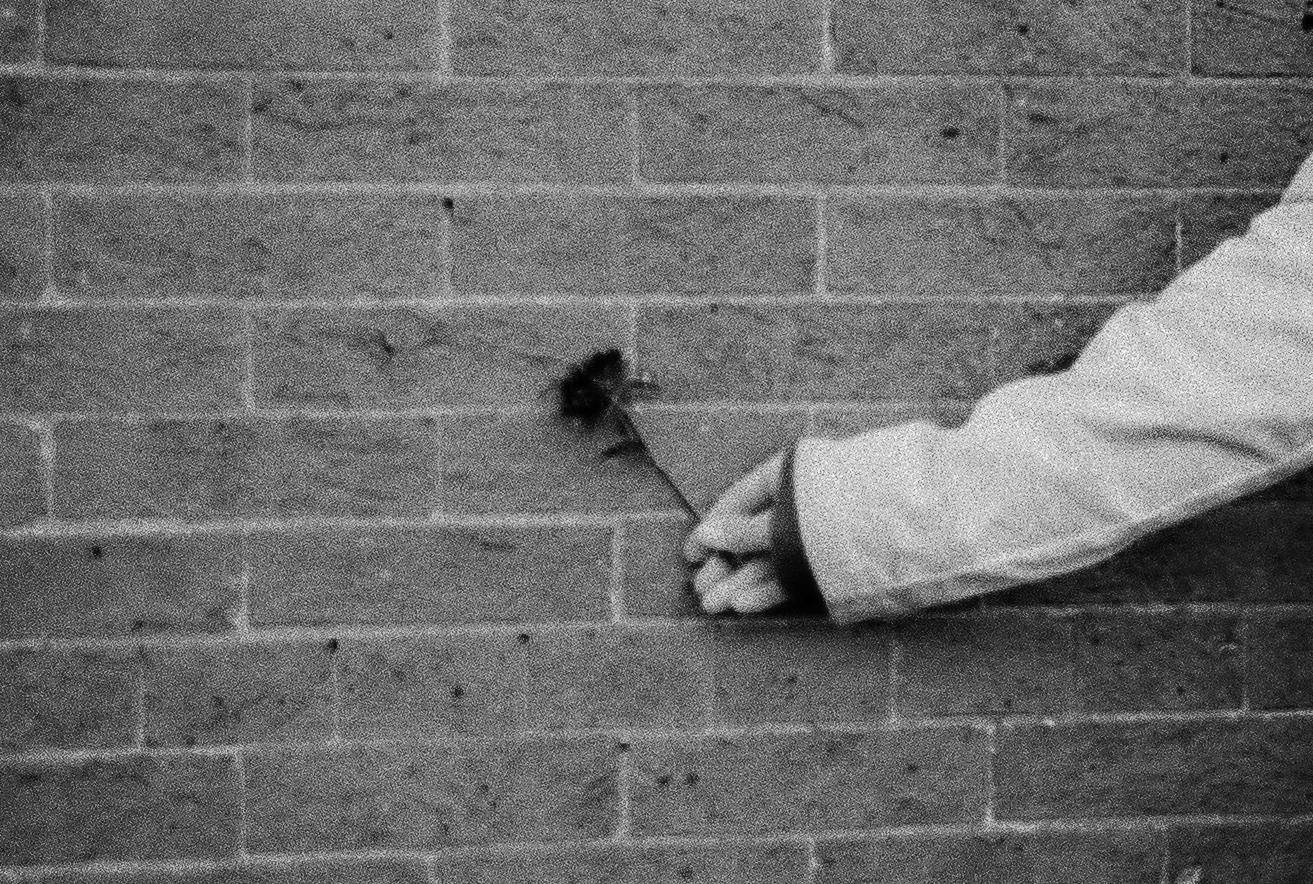 Owen's shot- he found the flower, chose the wall and instructed me on how to hold it for the photo. 