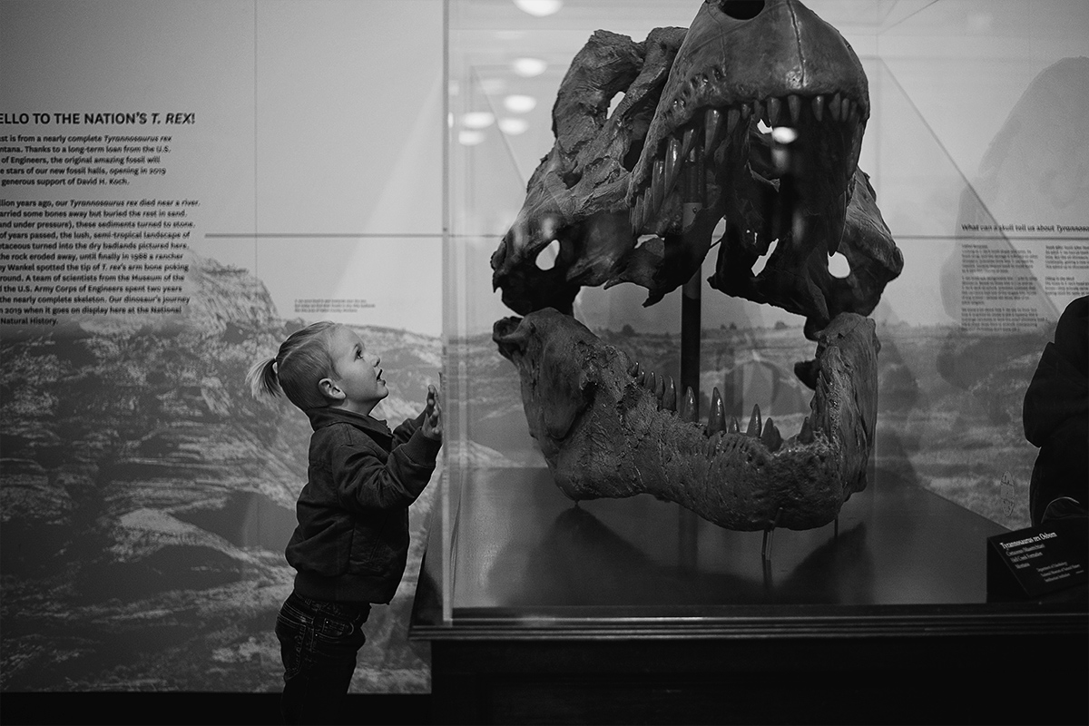 Unfortunately, the dino exhibit is on hold until next year for renovations, but he was still excited about seeing the T-rex head up close. Not to mention the Triceratops and the full T-rex skeleton they had on display.