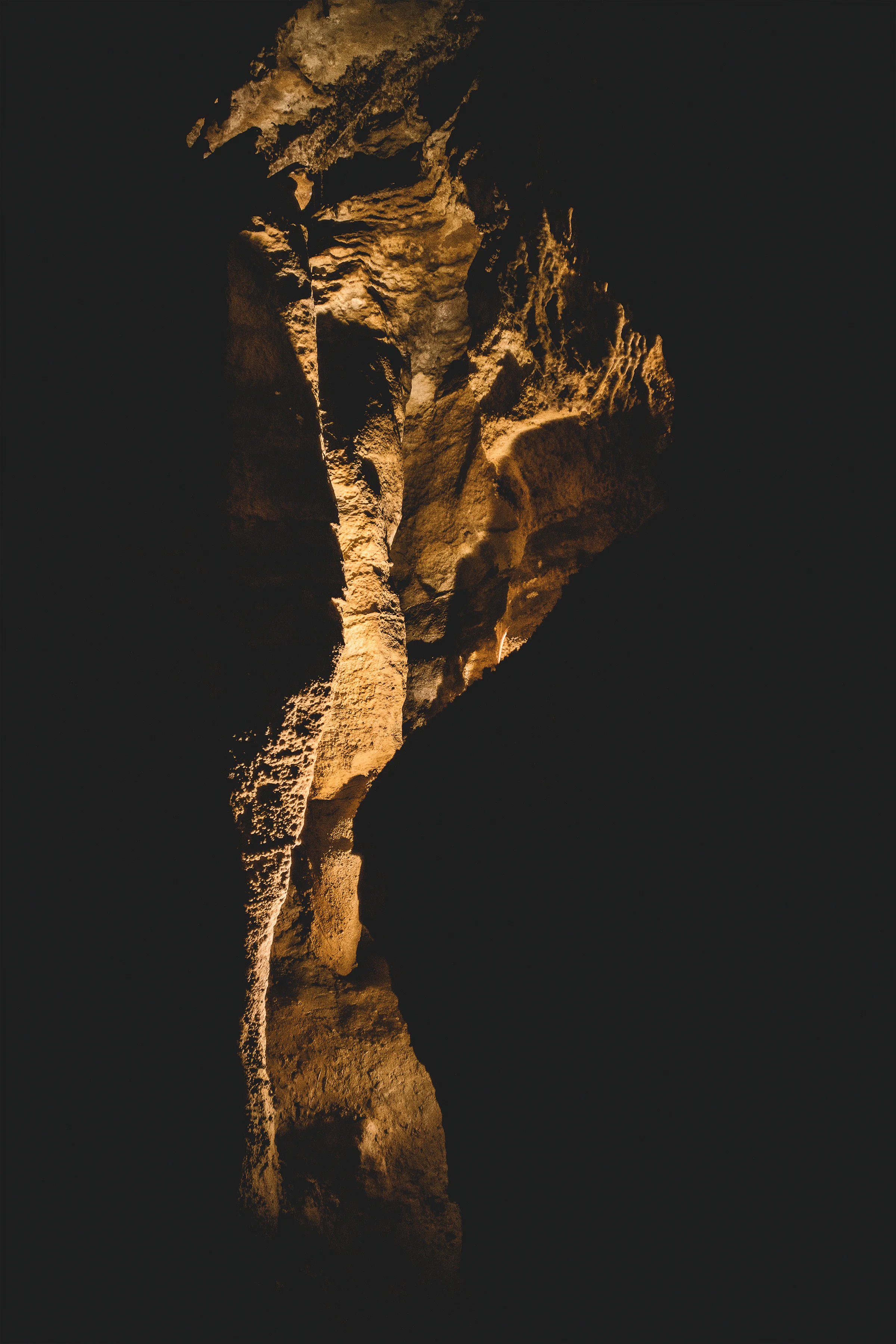 Untitled-4.jpg