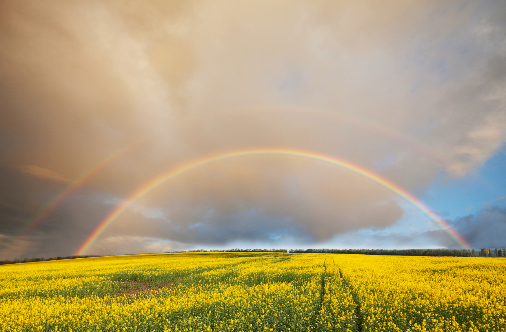 stockfresh_1437673_rainbow_sizeM.jpg