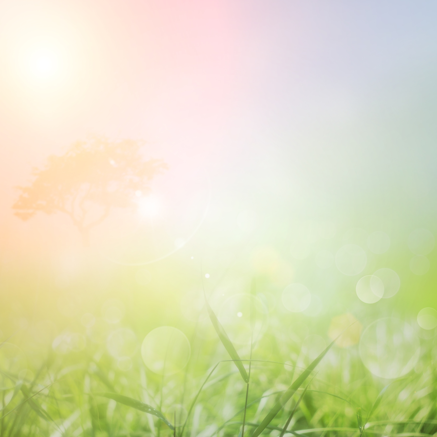 stockfresh_1501500_spring-or-summer-nature-sunset-background_sizeM.jpg