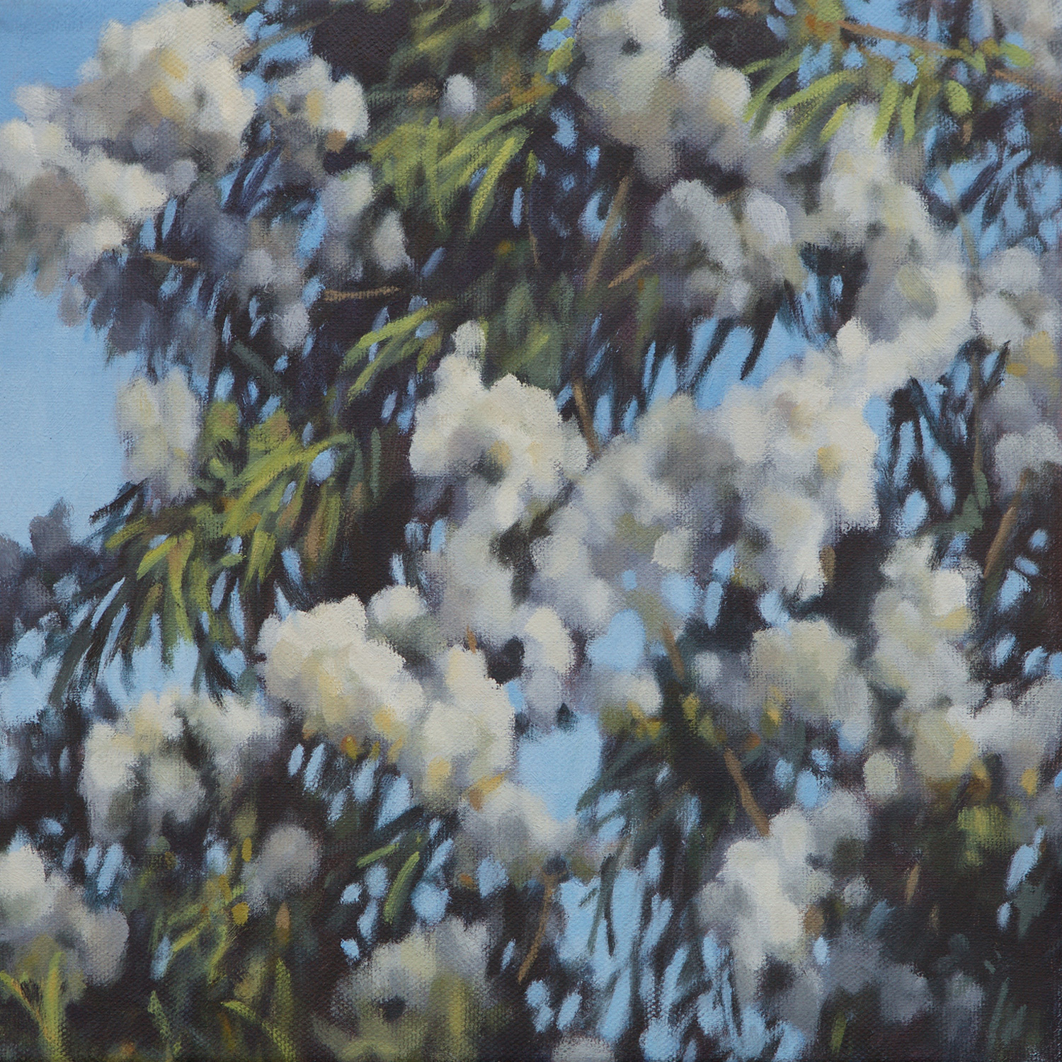 Blossom_1.jpg