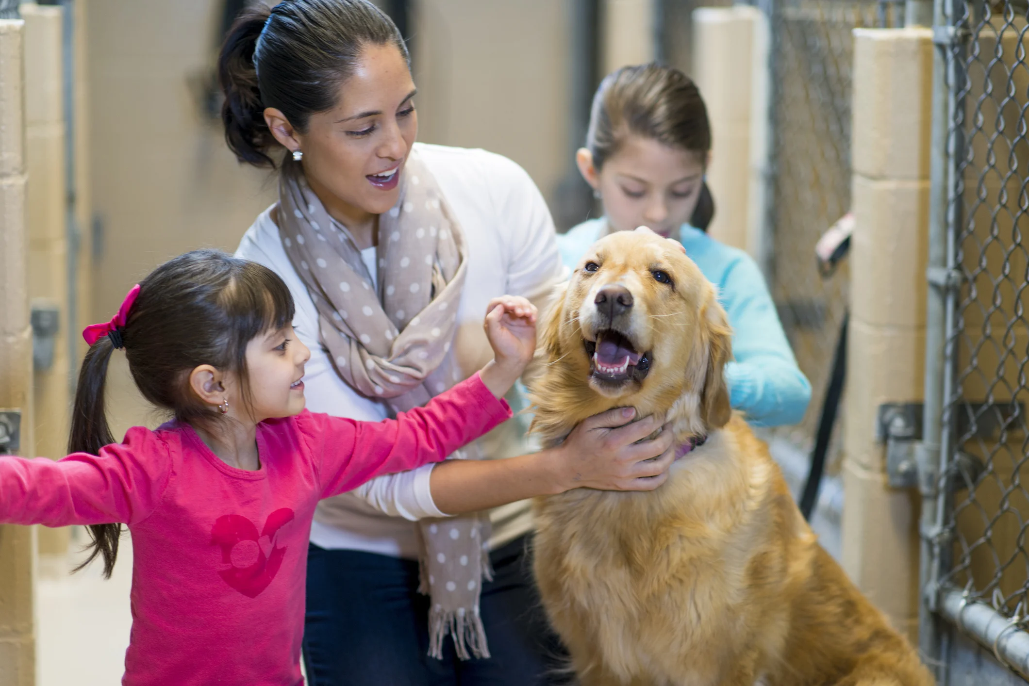 Animal Shelter & Pet Rescue Fundraiser