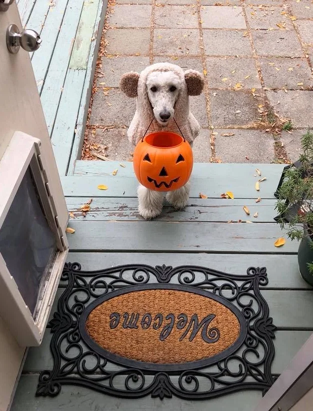 Tricky Treating. 
