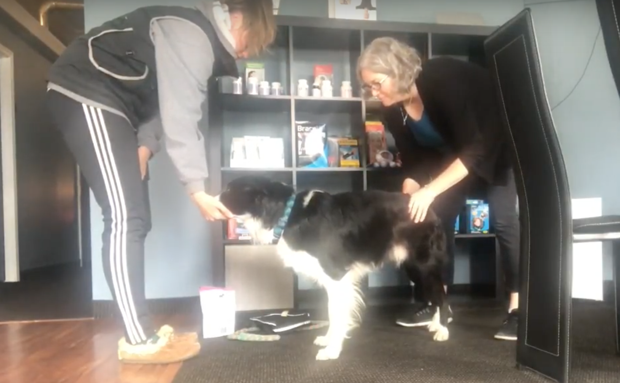Say Yes to the Vet!