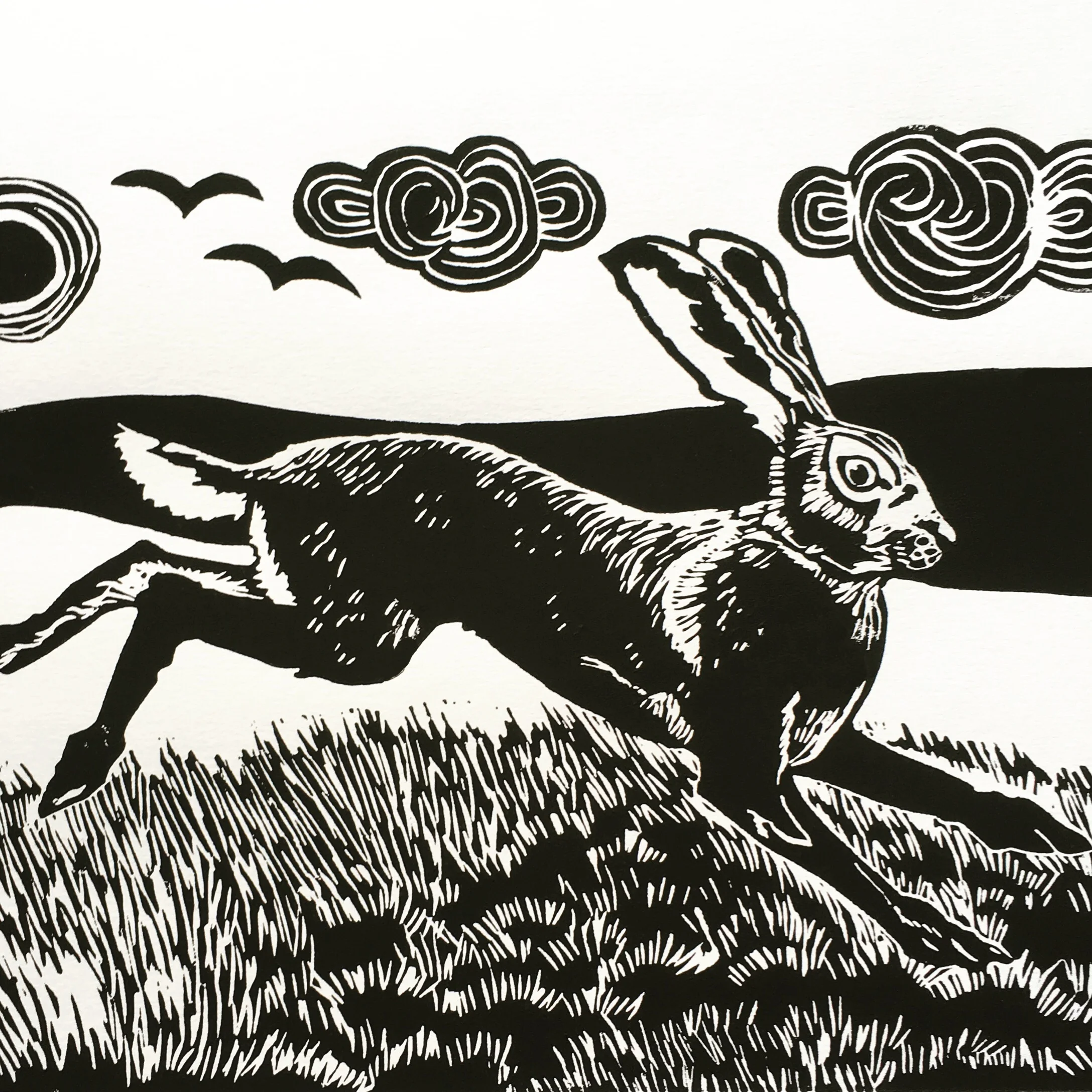 running hare.JPG