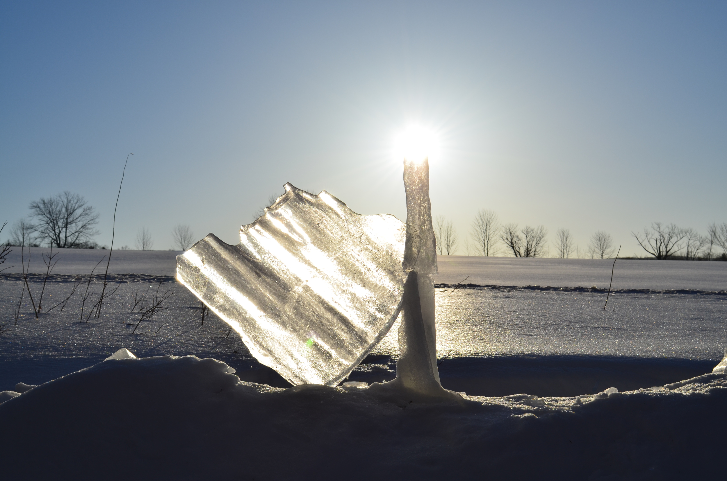 Morning 2015.JPG