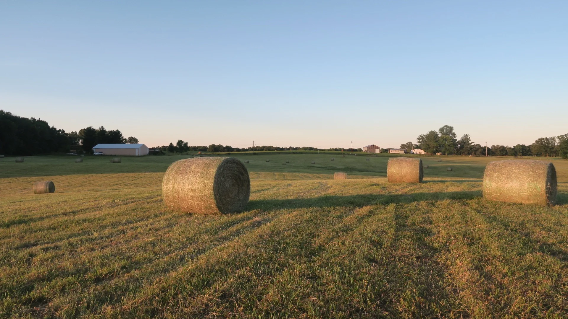 FARM1.jpg