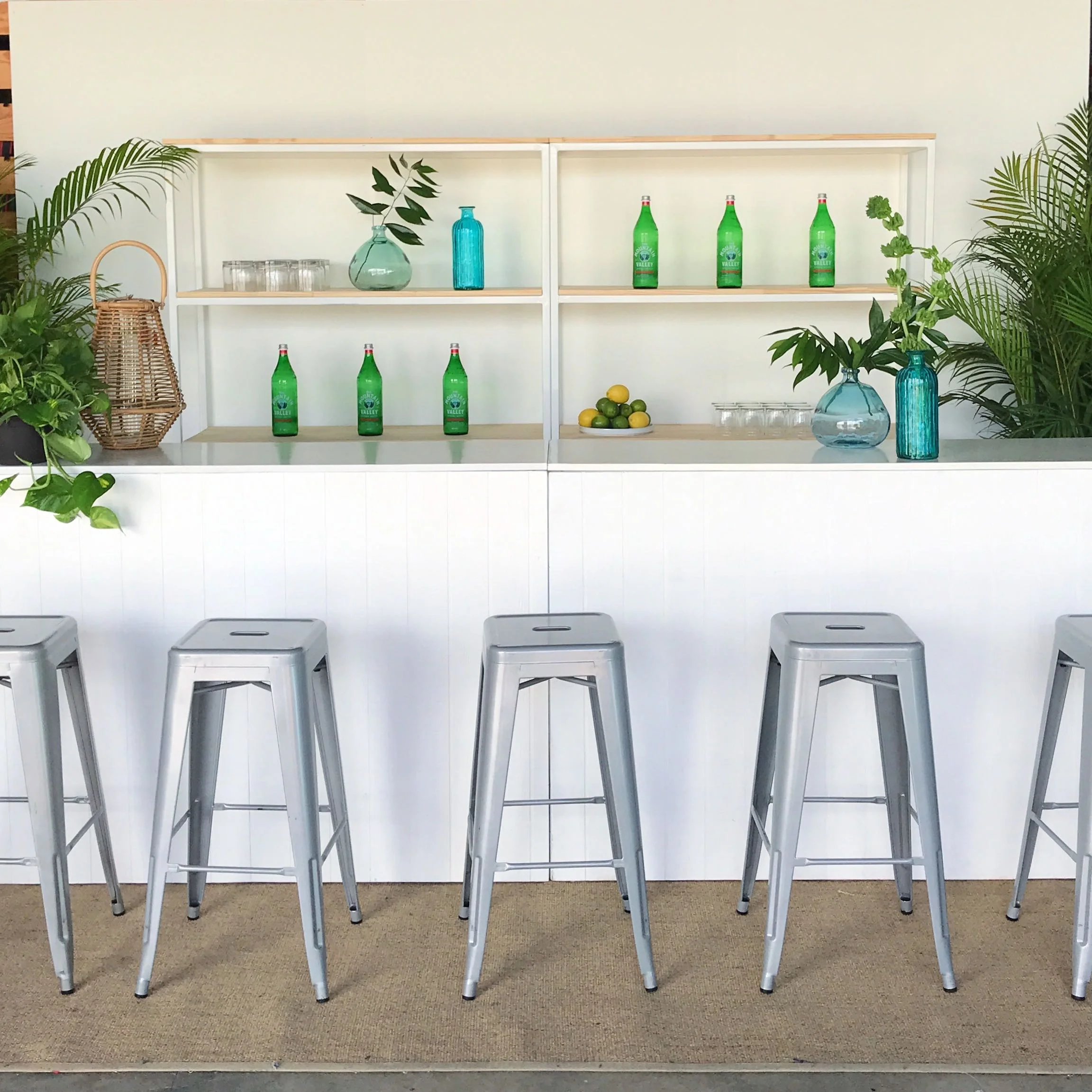 Rental bars with white shelving back bars and plants