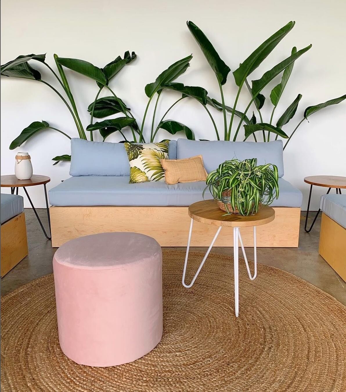 Cute little lounge set ups can completely transform a space ✨
Add a few textured pillows, lush greens, and pops of color to create intimate gathering spaces that feel elevated and inviting.