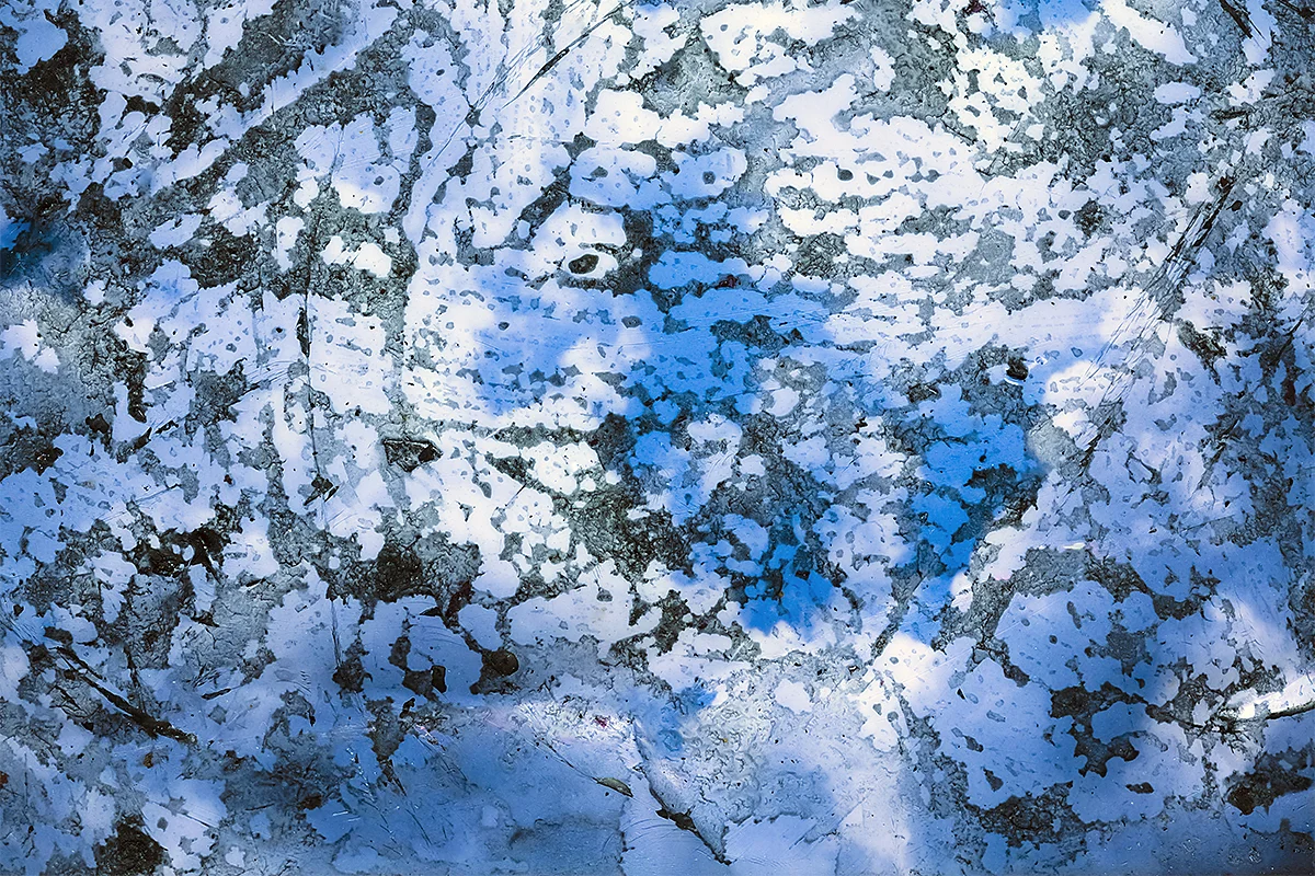 Disposal, 2014