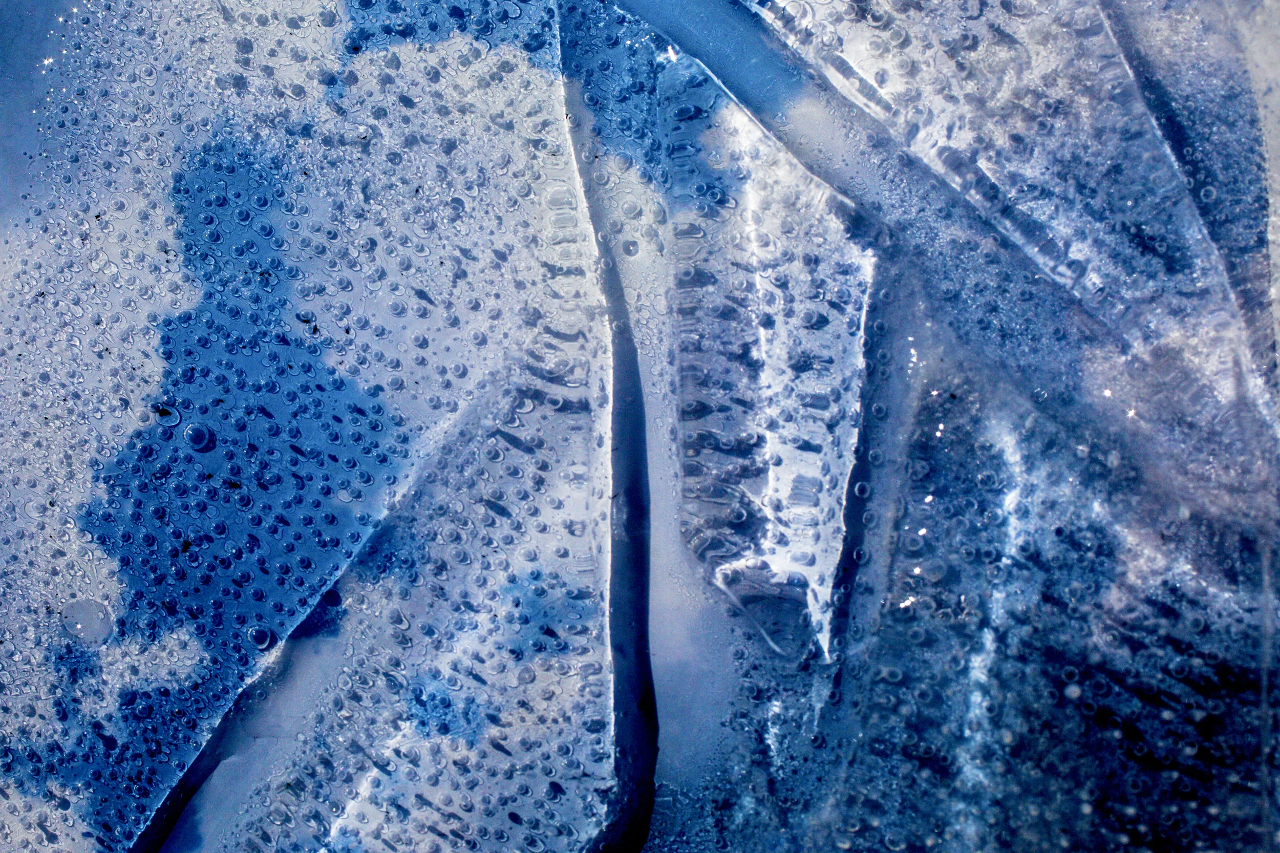 Frozen, 2015