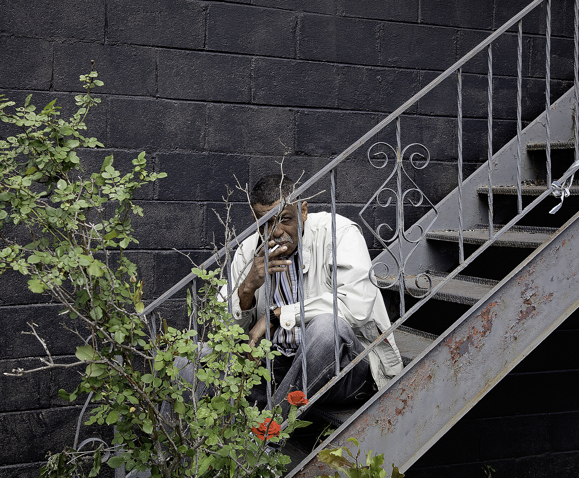 Barry Behind the Lab, 2013