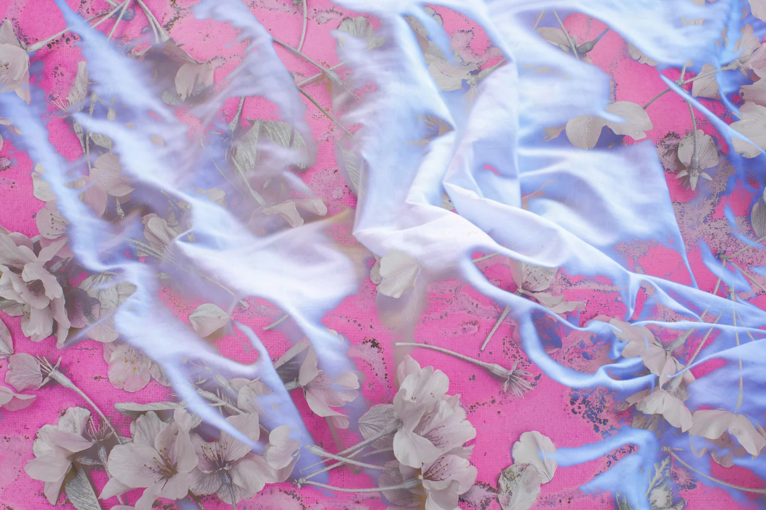 Night Fog, 2015