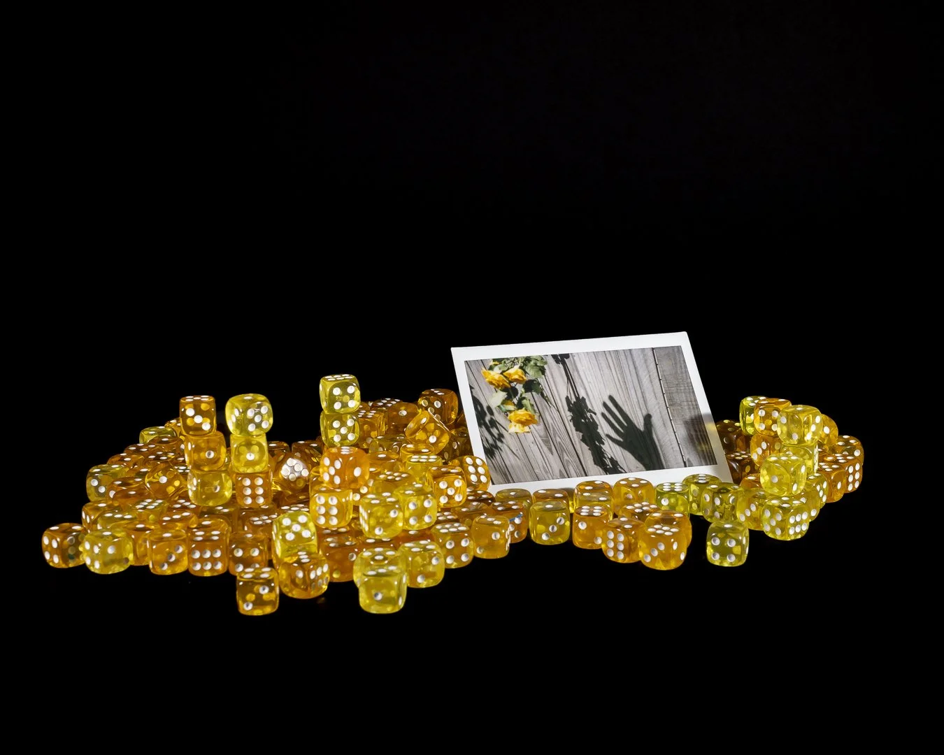 Yellow Roses (Copy) (Copy)