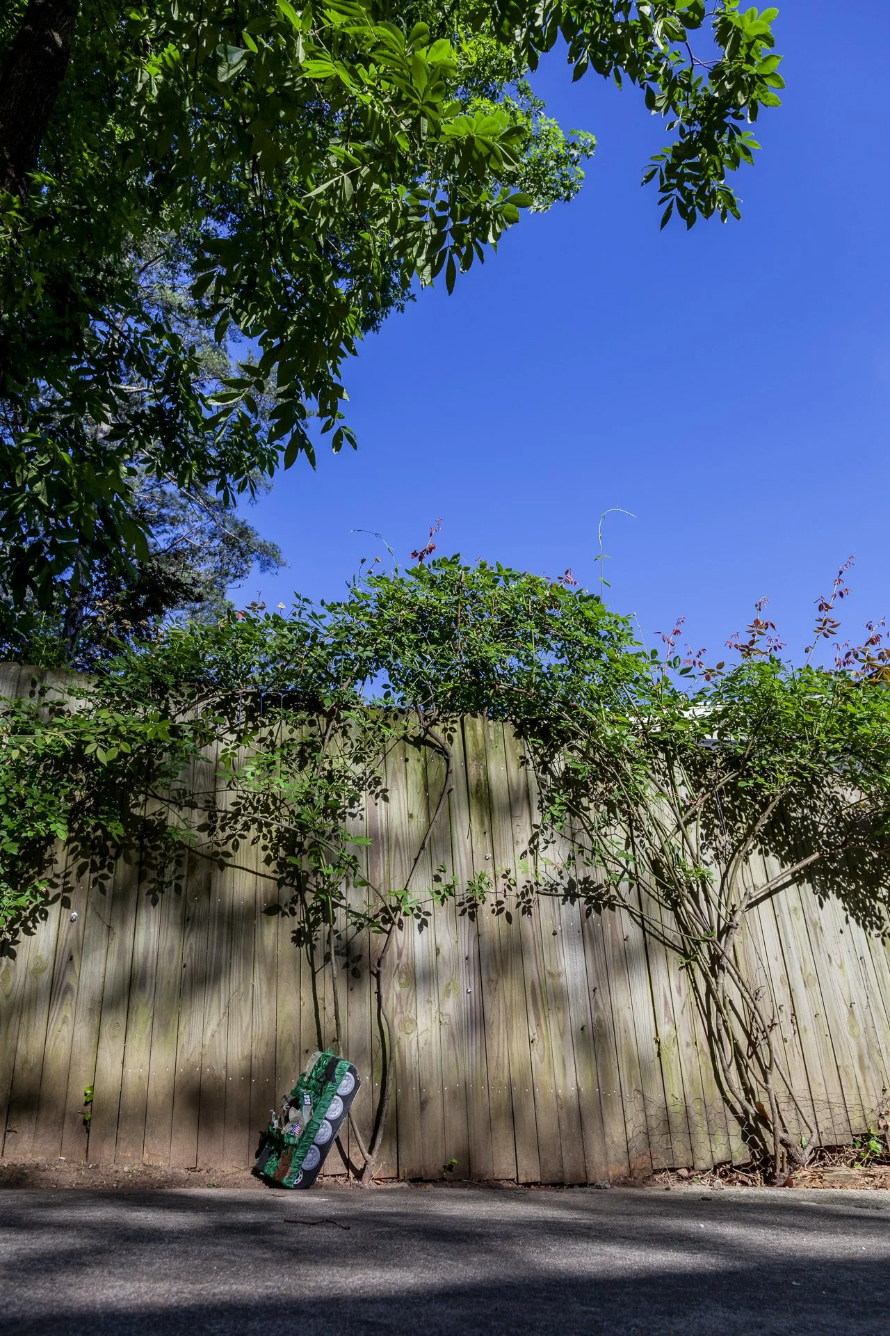 Tank
archival pigment print