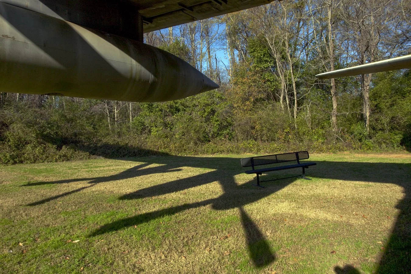 Under Wing
archival pigment print