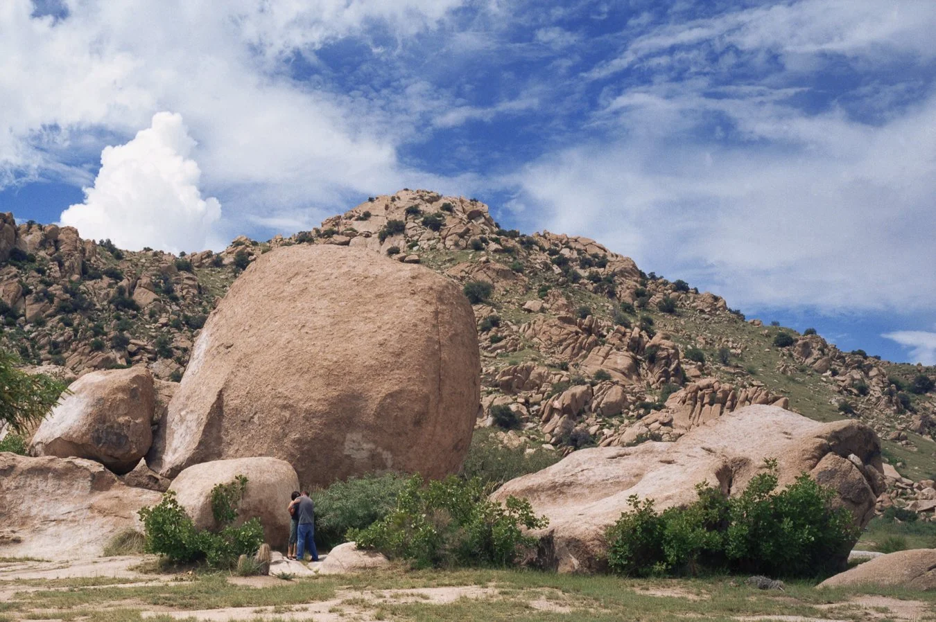 Dwarfed
archival pigment print