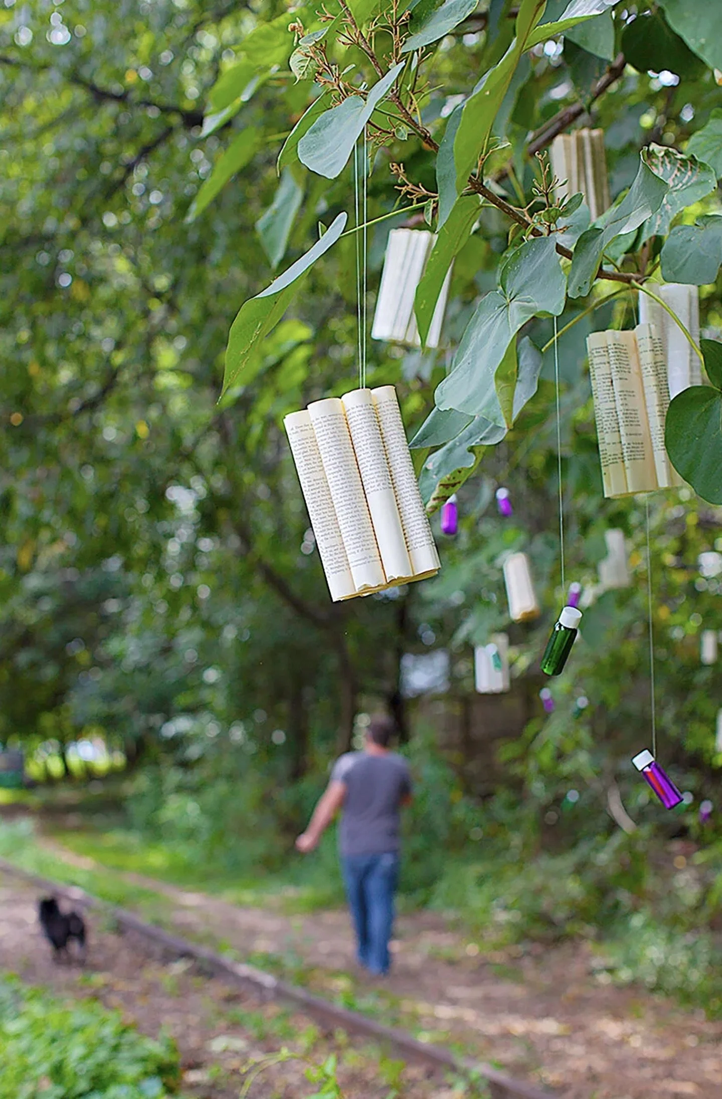 The Enchanted Forest of Books2.jpeg