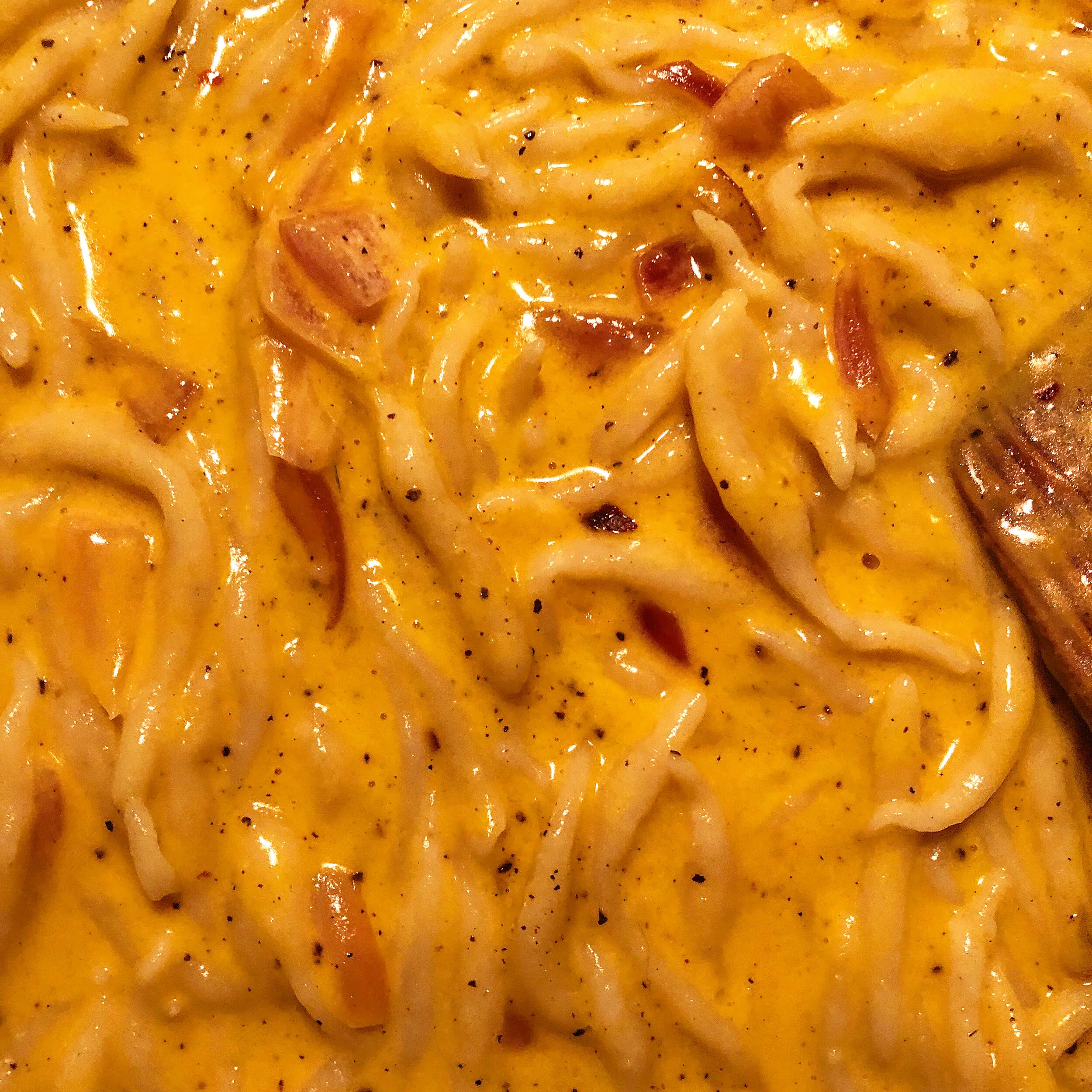 CREAMY CHEESY CARAMELIZED ONION SAUCE 