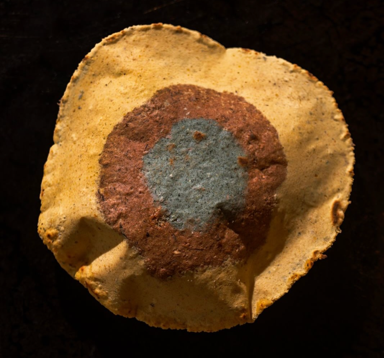 Screenshot 2026-03-25 at 8.42.31 PM.png