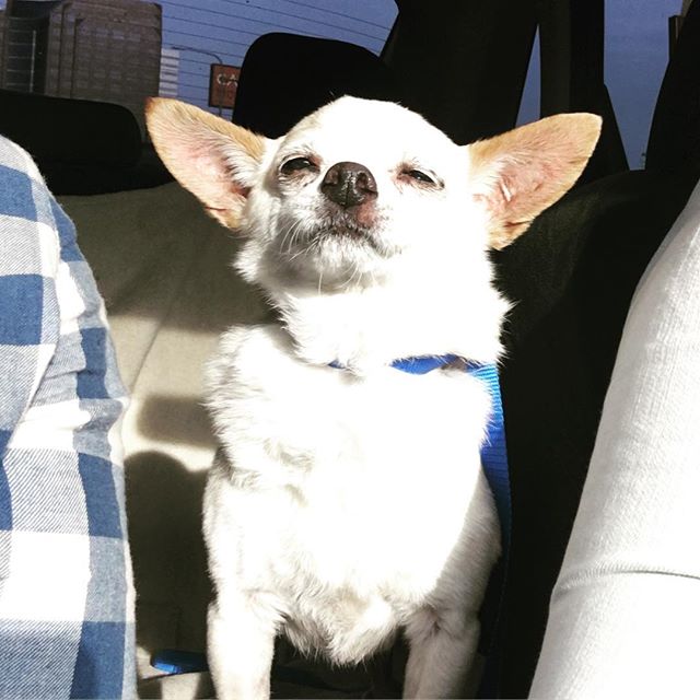 nacho2.jpeg