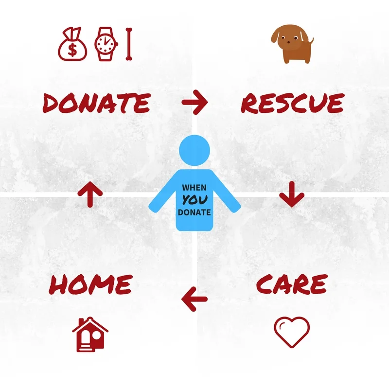 Your Donation-2.jpg
