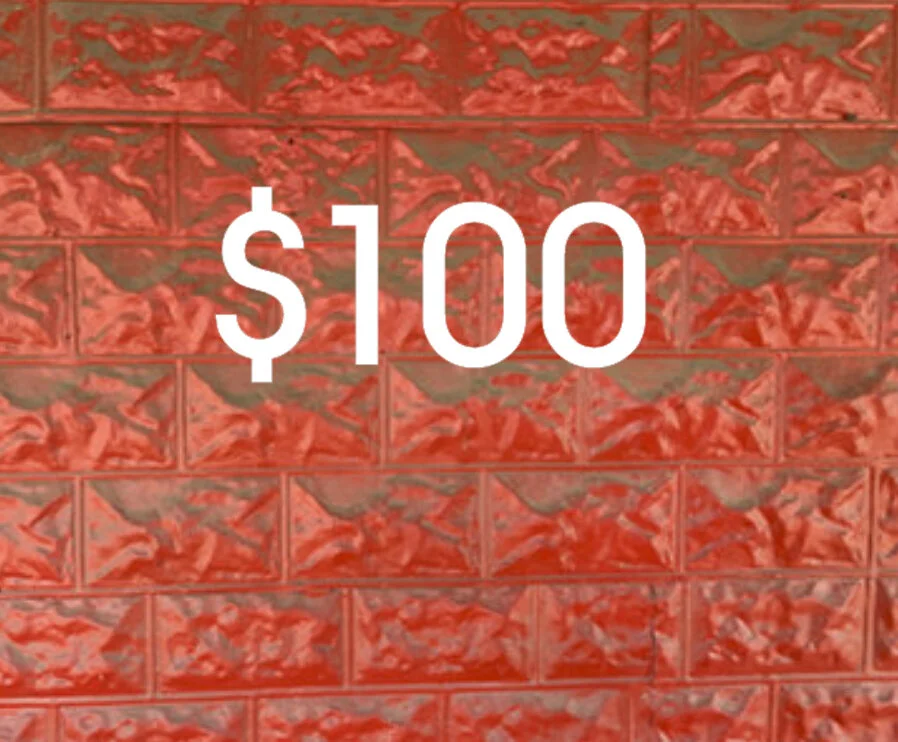 100.jpg