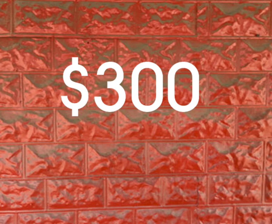 300.jpg
