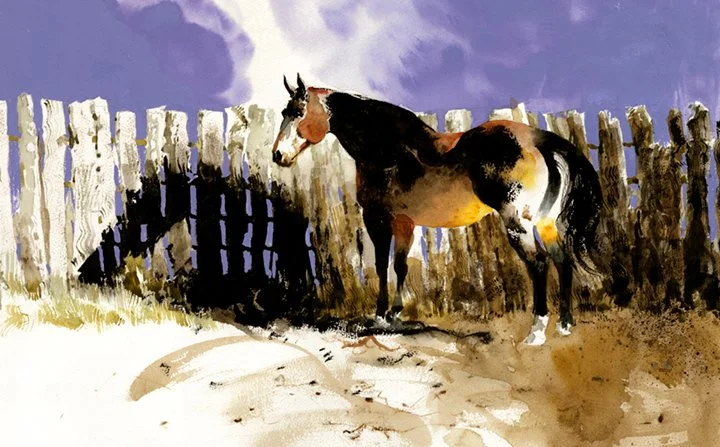 WEB_Holly in the Round Pen.jpg