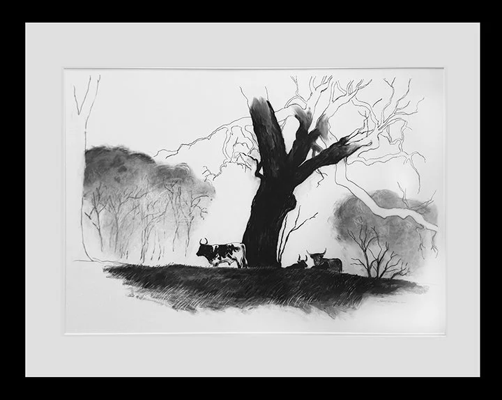 Jerry Herring_cattle__loRes.jpg