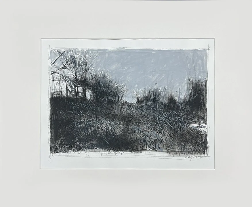 b&w landscape 2022.jpg