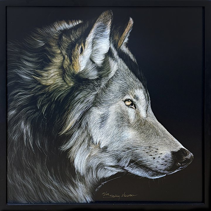 maxwell_profile of a wolf_loRes.jpg