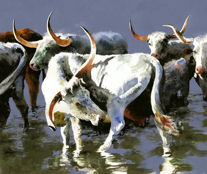 WEB_A Few Wet Longhorns.jpg