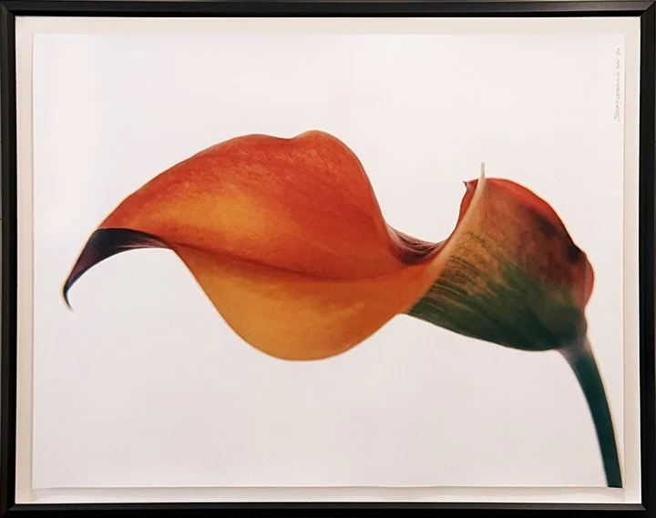 Jerry Herring_"Lilly"_loRes.jpg